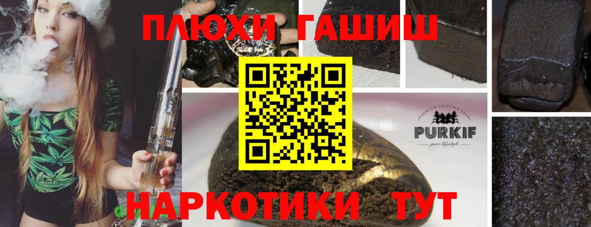 ГАШ Premium Горячий Ключ