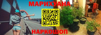 ГАЛЛЮЦИНОГЕННЫЕ ГРИБЫ Малгобек