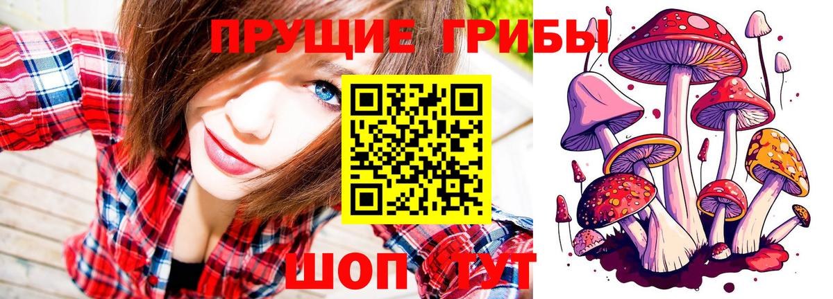 Псилоцибиновые грибы мицелий  Вход с VPN  Горячий Ключ 